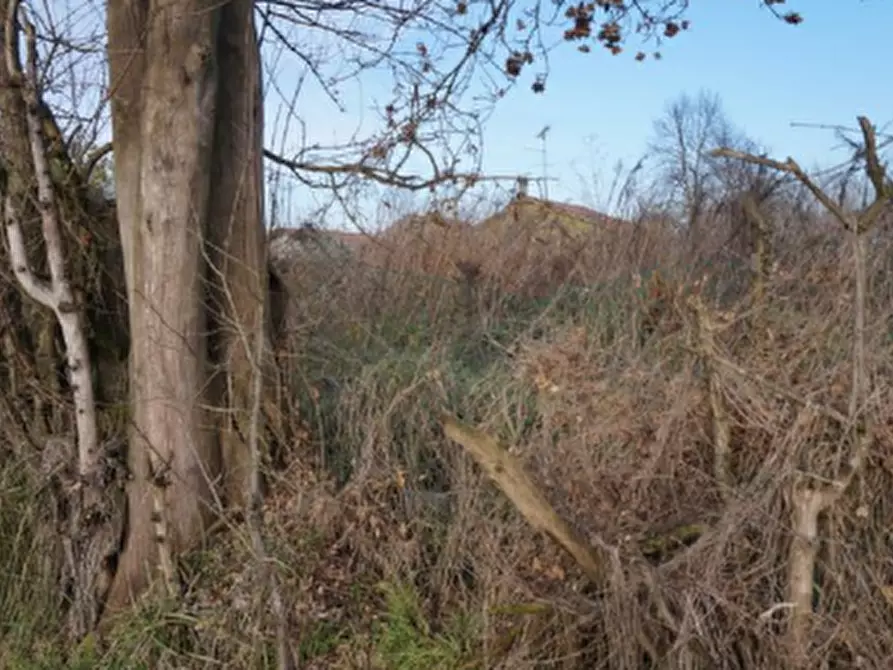 Immagine 7 di Terreno edificabile in vendita  in Via della Libertà a Gazzuolo