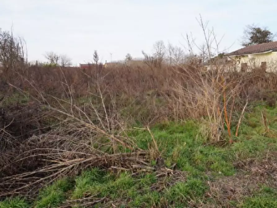 Immagine 10 di Terreno edificabile in vendita  in Via della Libertà a Gazzuolo