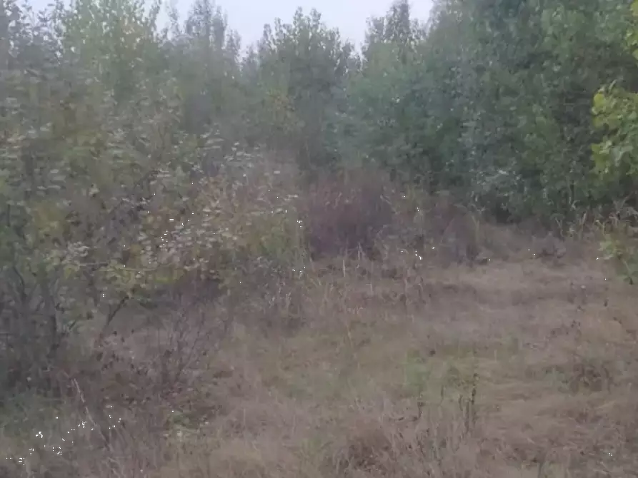 Immagine 2 di Terreno edificabile in vendita  in località Villafranca d'Asti a Villafranca D'asti