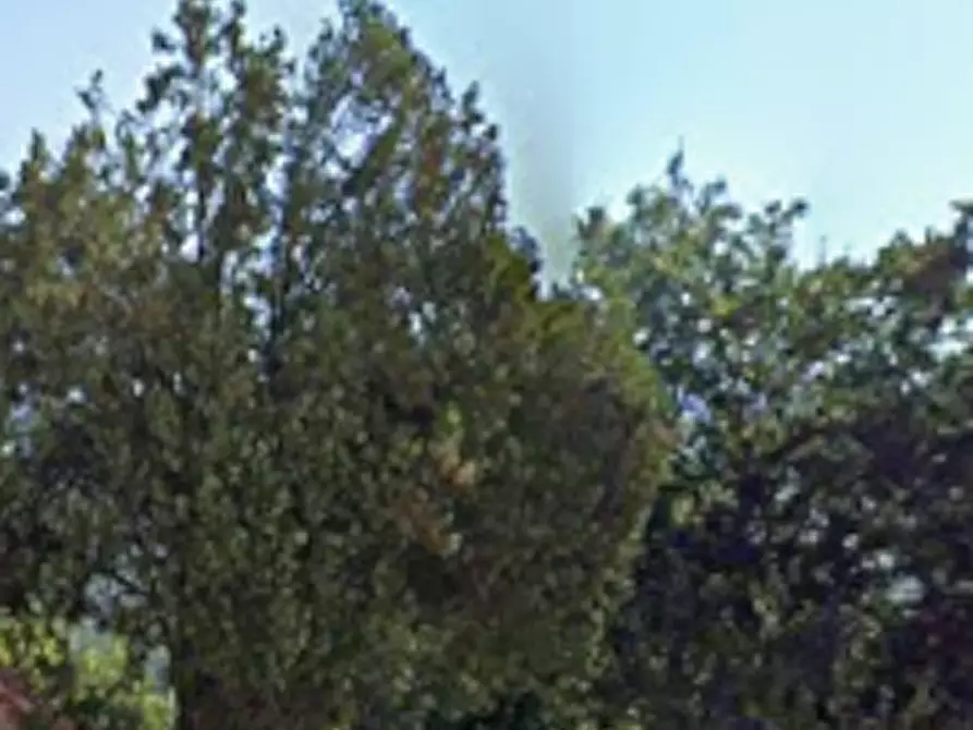 Immagine 3 di Porzione di casa in vendita  in Localita' Nucleo San Lazzaro a Gualdo Tadino