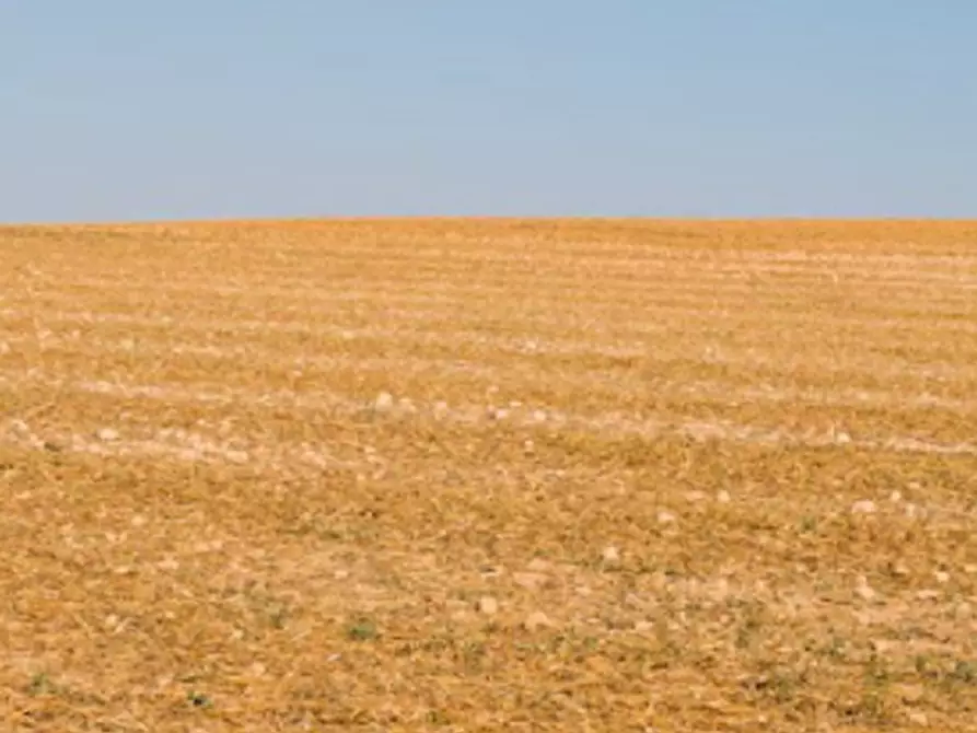 Immagine 15 di Terreno edificabile in vendita  in  Via dei tigli a Cento