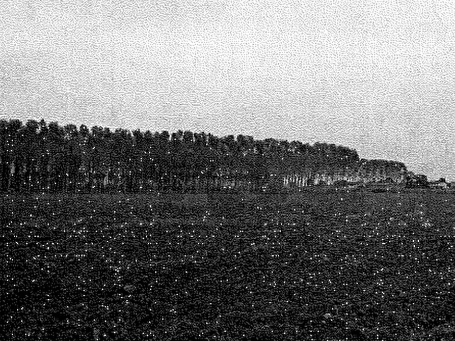 Immagine 11 di Terreno agricolo in vendita  in Cava Manara a Cava Manara
