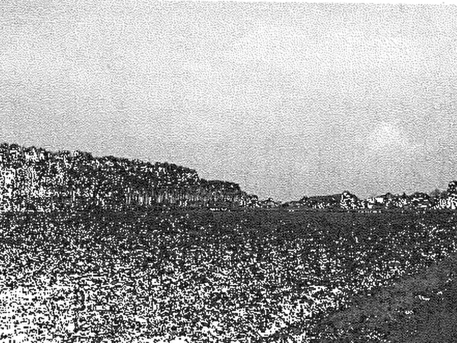 Immagine 12 di Terreno agricolo in vendita  in Cava Manara a Cava Manara