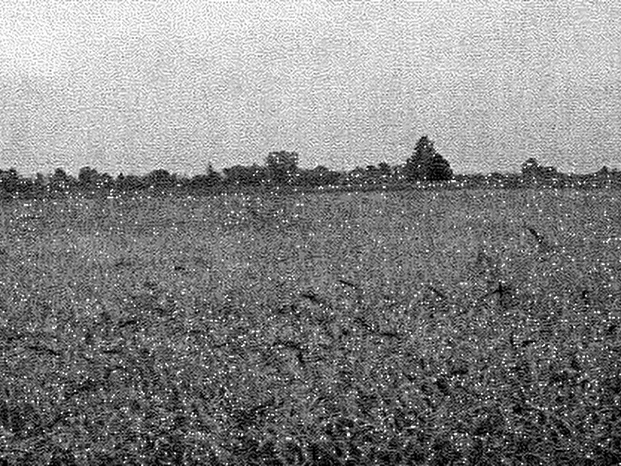 Immagine 14 di Terreno agricolo in vendita  in Cava Manara a Cava Manara