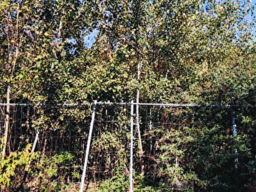 Immagine 3 di Terreno edificabile in vendita  in Corso Italia a Bovisio-Masciago