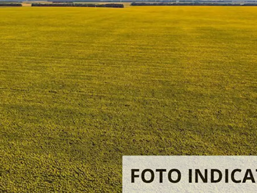 Immagine 9 di Terreno edificabile in vendita  in Località Pratomorone a Tigliole