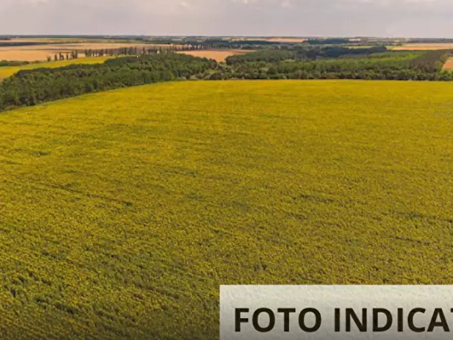 Immagine 16 di Appartamento in vendita  in Strada Monte Paganuccio a Cagli
