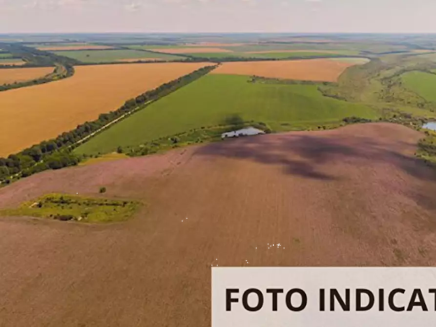 Immagine 12 di Terreno edificabile in vendita  in Via Casinella a Tavoleto
