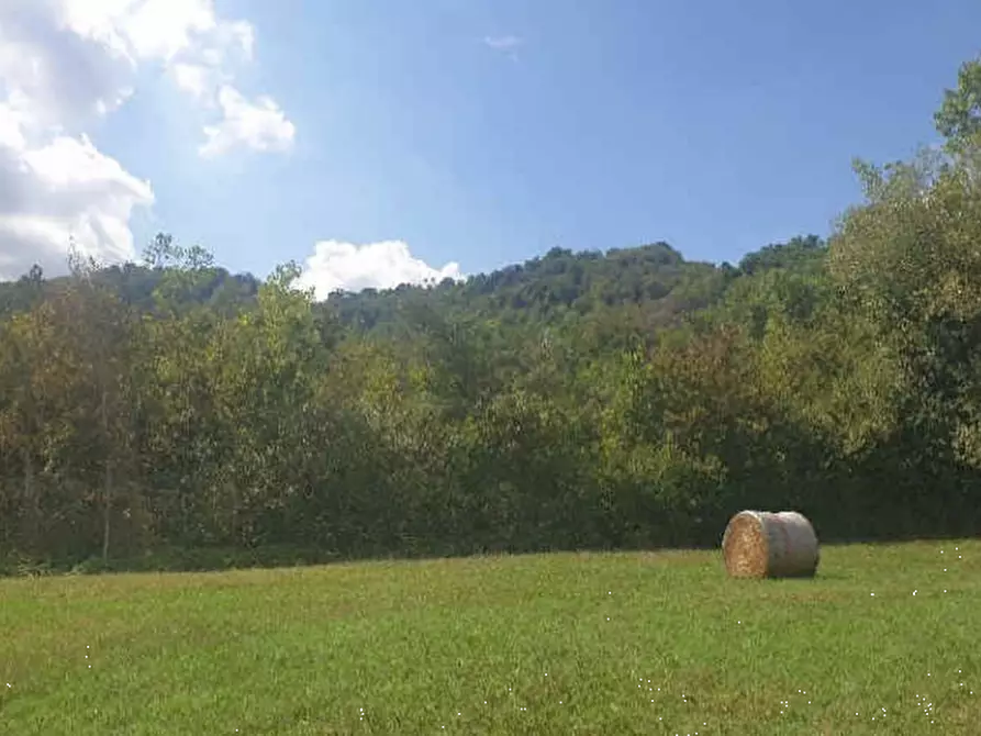 Immagine 1 di Terreno agricolo in vendita  in Via Statale a Vezzano Sul Crostolo