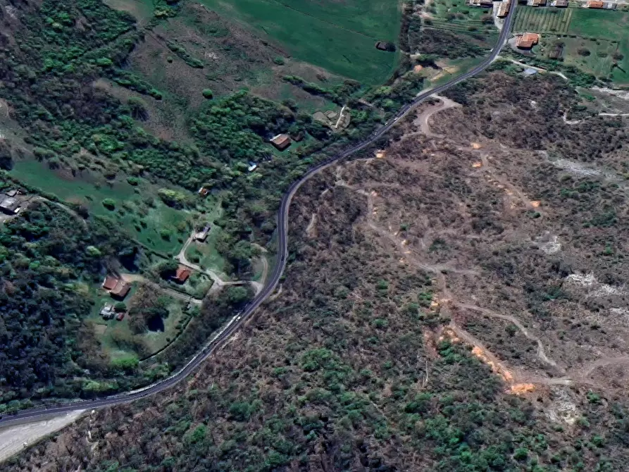Immagine 5 di Terreno agricolo in vendita  in Via Statale a Vezzano Sul Crostolo