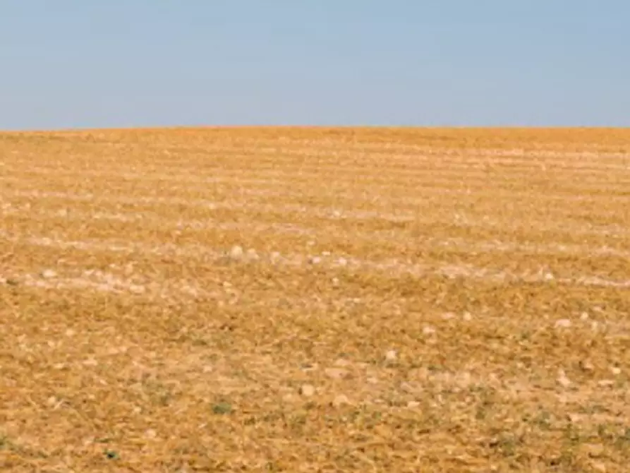 Immagine 13 di Terreno agricolo in vendita  in Via Ambrosoni a Pasiano Di Pordenone