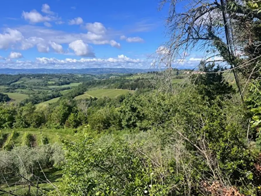 Immagine 2 di Terreno agricolo in vendita  in Via Lucardese a Montespertoli