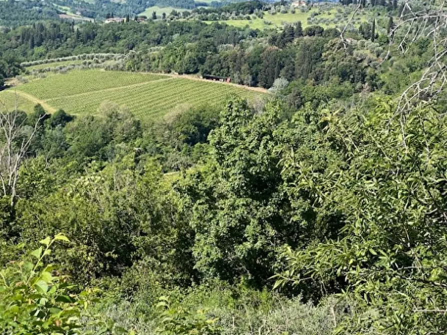 terreno agricolo in vendita a Montespertoli