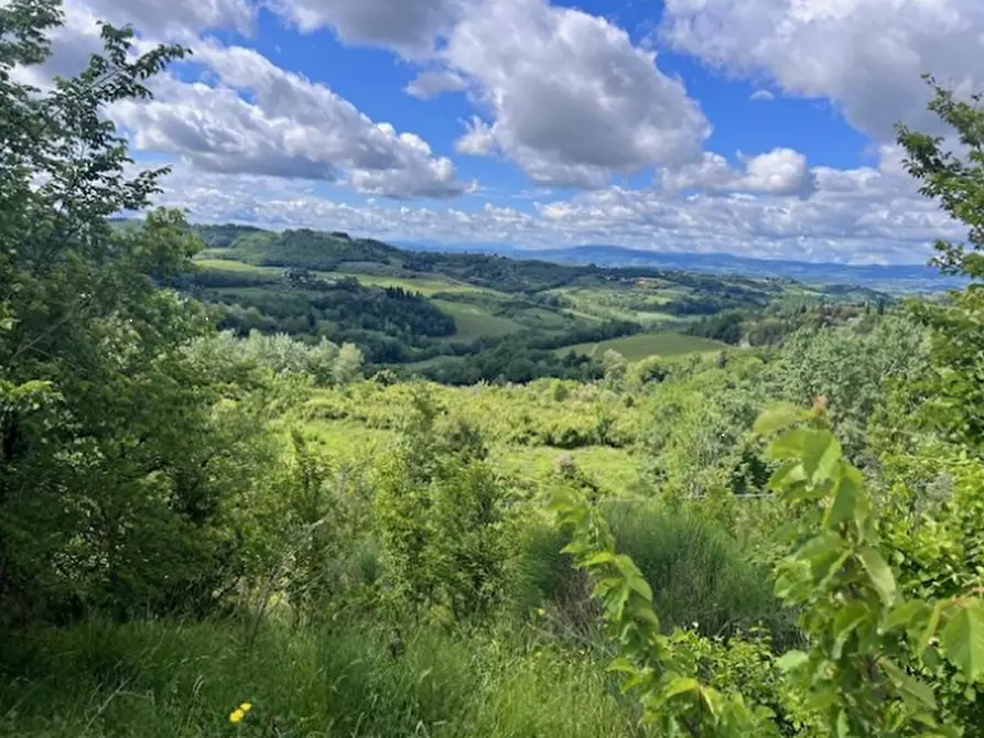 Immagine 5 di Terreno agricolo in vendita  in Via Lucardese a Montespertoli