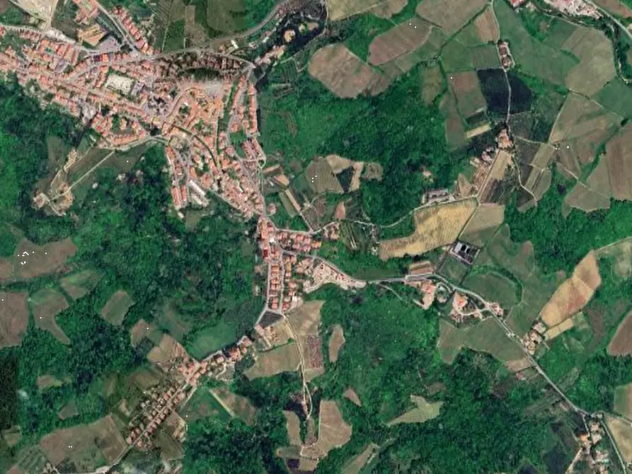 Immagine 12 di Terreno agricolo in vendita  in Via Lucardese a Montespertoli