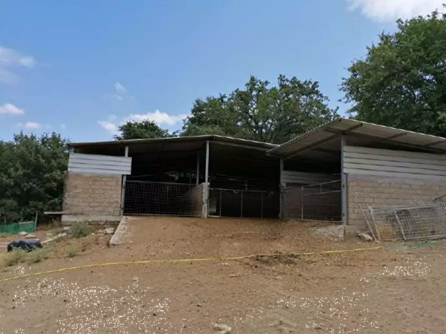Immagine 8 di Porzione di casa in vendita  in località Grotta Cavalieri a Sorano
