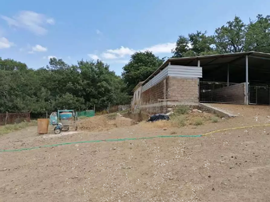 Immagine 9 di Porzione di casa in vendita  in località Grotta Cavalieri a Sorano