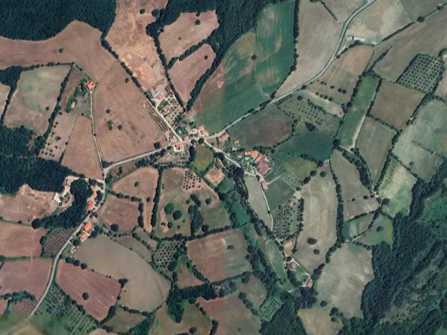 Immagine 17 di Porzione di casa in vendita  in località Grotta Cavalieri a Sorano