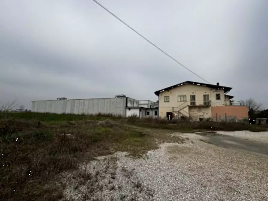 Immagine 2 di Capannone industriale in vendita  in Via Cicogna a Roveredo Di Gua'