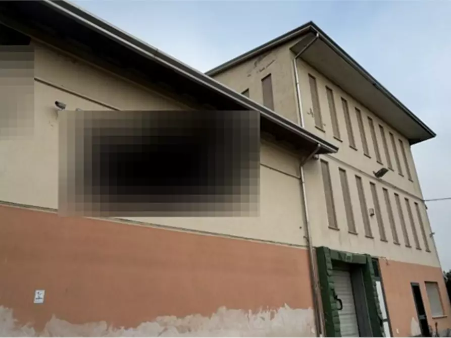 Immagine 3 di Capannone industriale in vendita  in Via Cicogna a Roveredo Di Gua'