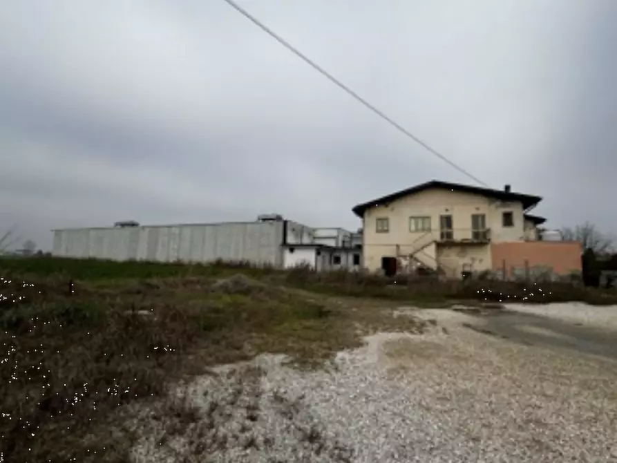 Immagine 4 di Capannone industriale in vendita  in Via Cicogna a Roveredo Di Gua'