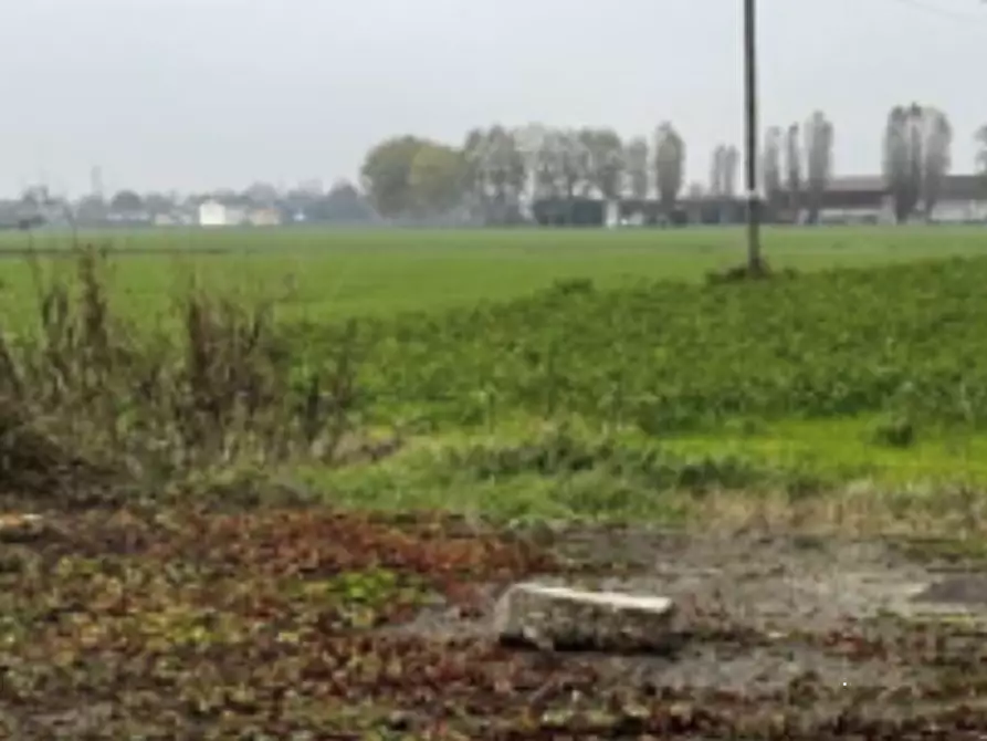 Immagine 5 di Capannone industriale in vendita  in Via Cicogna a Roveredo Di Gua'