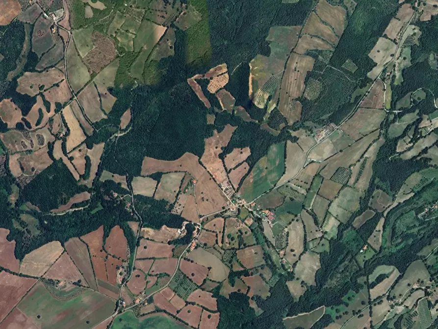 Immagine 19 di Porzione di casa in vendita  in località Grotta Cavalieri a Sorano