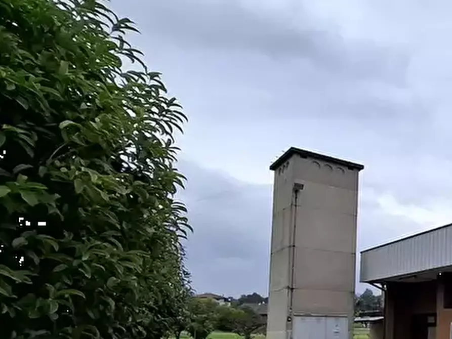 Immagine 7 di Capannone industriale in vendita  in Via Borgo Bello a Cassacco