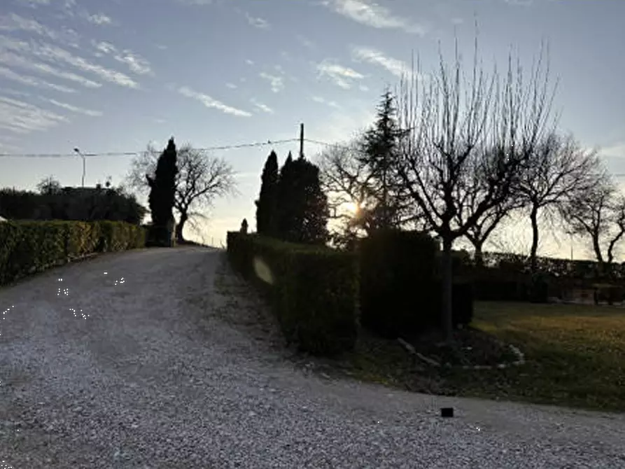 Immagine 4 di Villa in vendita  in Contrada San Giorgio a Montegiorgio