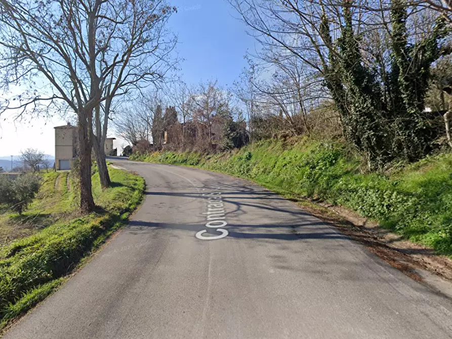 Immagine 10 di Villa in vendita  in Contrada San Giorgio a Montegiorgio