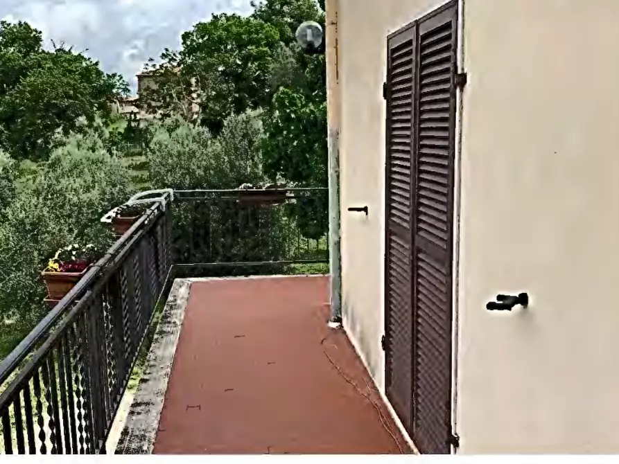 Immagine 8 di Casa bifamiliare in vendita  in località Poggio Murella a Manciano