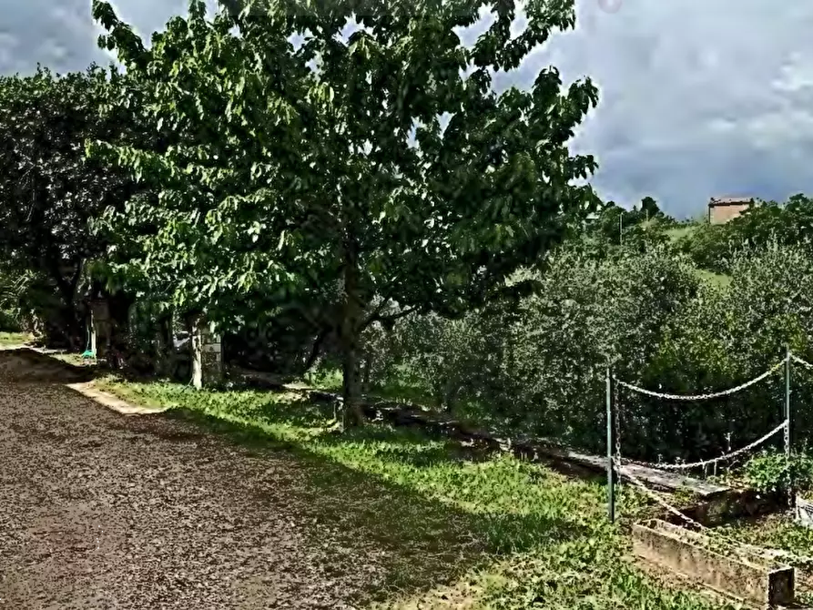 Immagine 9 di Casa bifamiliare in vendita  in località Poggio Murella a Manciano