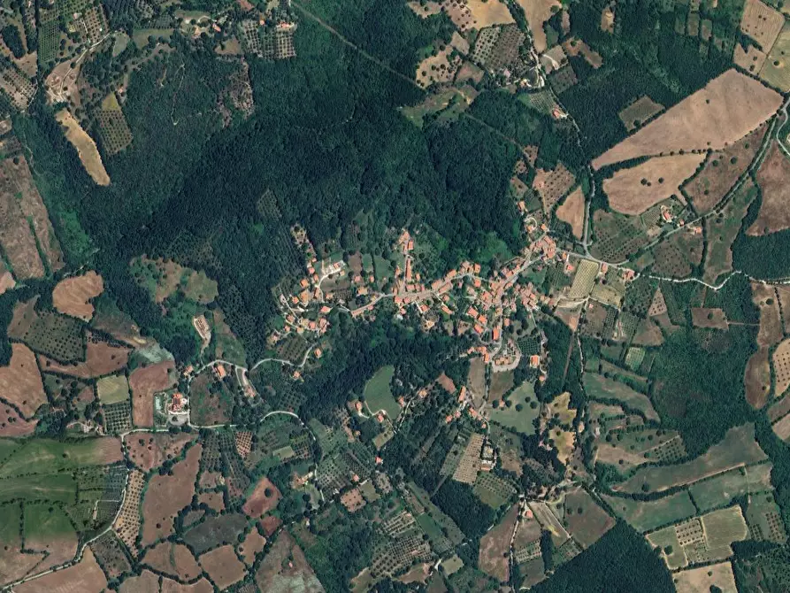 Immagine 13 di Casa bifamiliare in vendita  in località Poggio Murella a Manciano