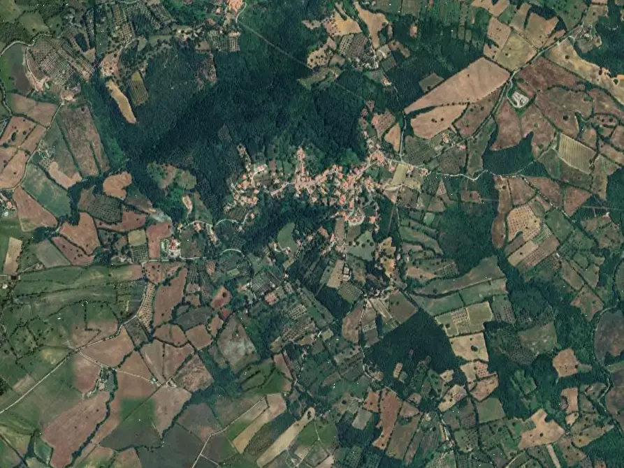 Immagine 15 di Casa bifamiliare in vendita  in località Poggio Murella a Manciano