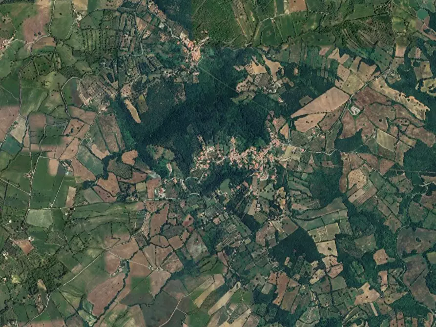 Immagine 16 di Casa bifamiliare in vendita  in località Poggio Murella a Manciano