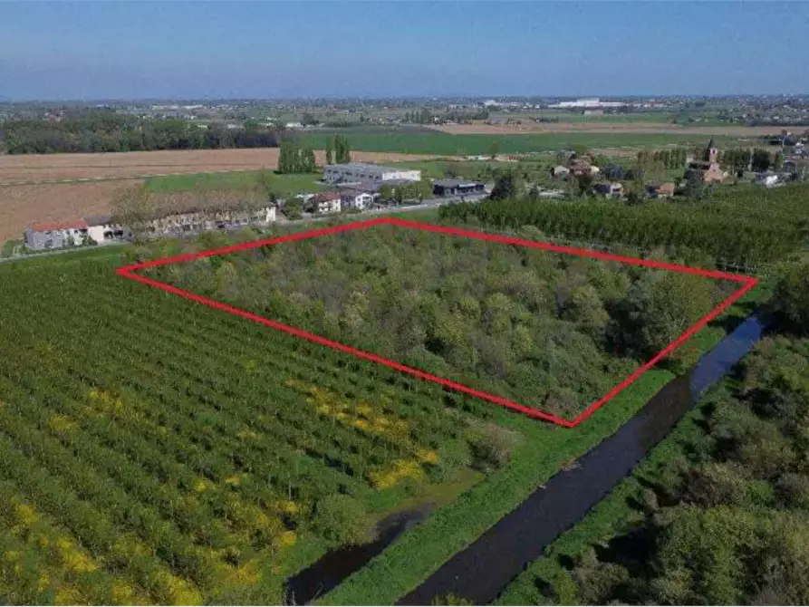 Immagine 1 di Terreno agricolo in vendita  in Località San Vito a Cerea