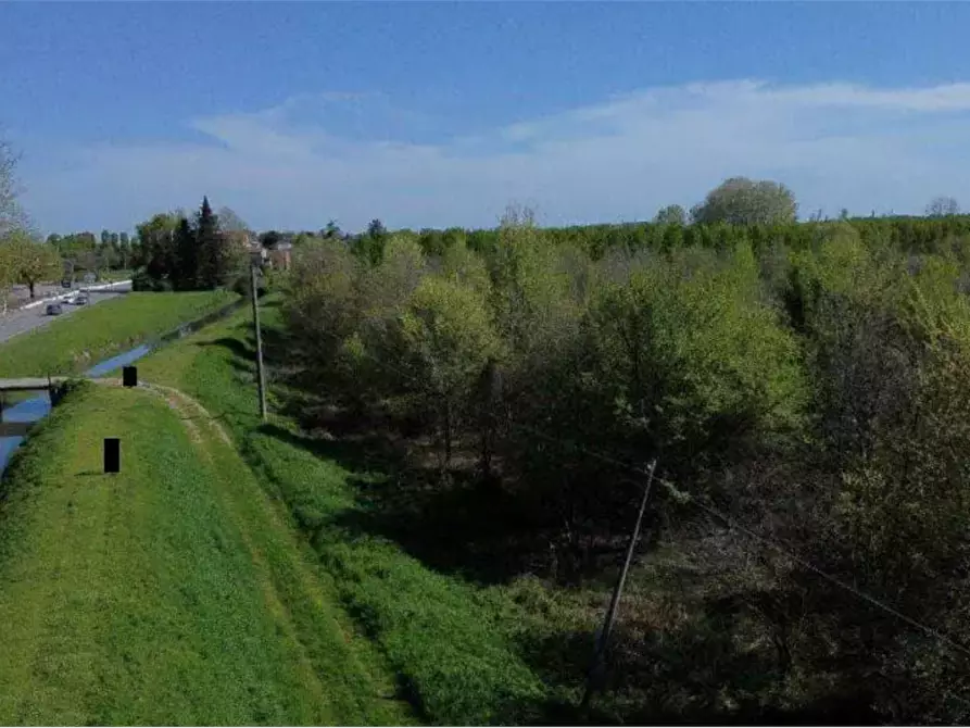 Immagine 2 di Terreno agricolo in vendita  in Località San Vito a Cerea
