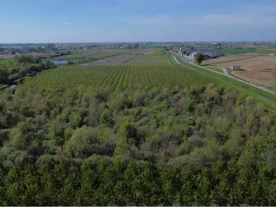 Immagine 4 di Terreno agricolo in vendita  in Località San Vito a Cerea