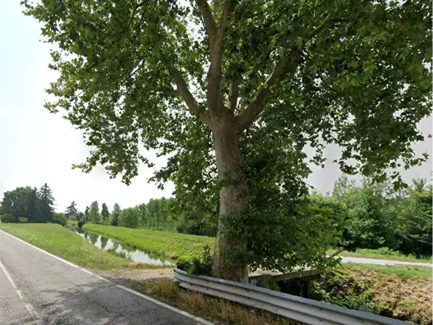 Immagine 7 di Terreno agricolo in vendita  in Località San Vito a Cerea