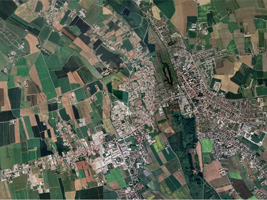 Immagine 14 di Terreno agricolo in vendita  in Località San Vito a Cerea