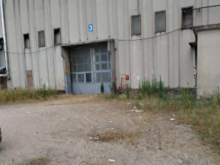Immagine 4 di Stabile in vendita  in Via Campagnari a Tezze Sul Brenta