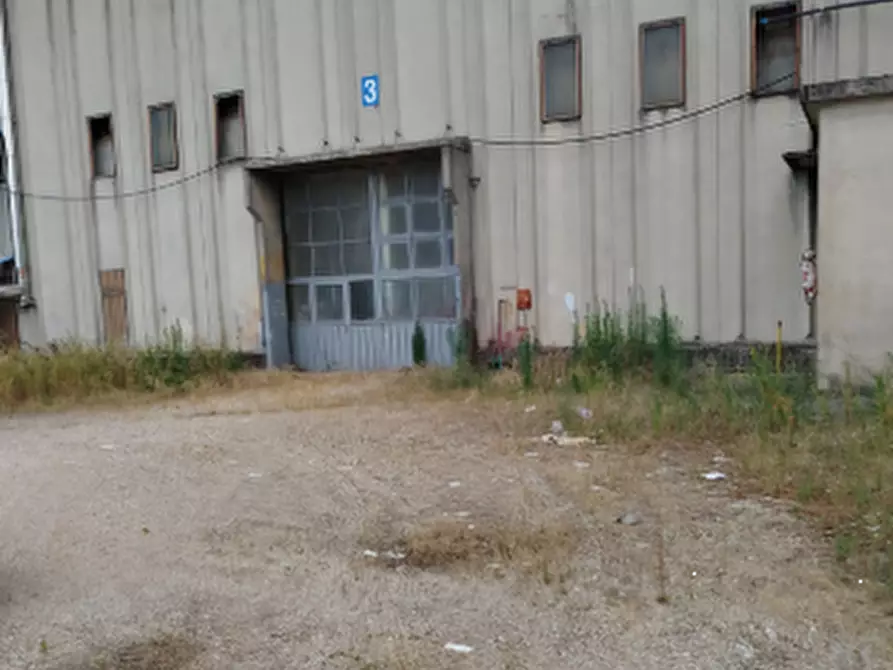 Immagine 5 di Stabile in vendita  in Via Campagnari a Tezze Sul Brenta