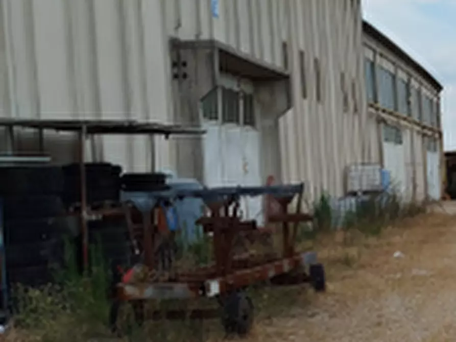 Immagine 6 di Stabile in vendita  in Via Campagnari a Tezze Sul Brenta