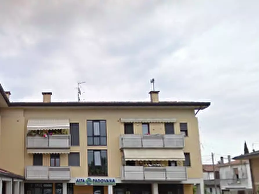 Immagine 4 di Appartamento in vendita  in Via Giuseppe Verdi  a San Giorgio Delle Pertiche