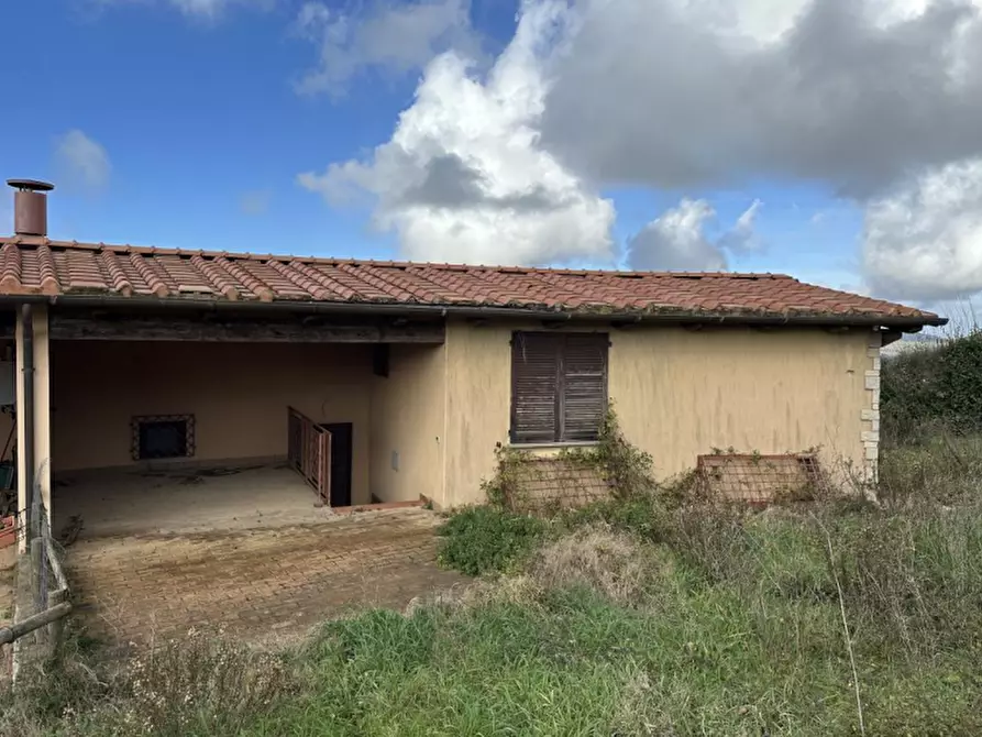 Immagine 2 di Appartamento in vendita  in Località le Valentine a Scansano