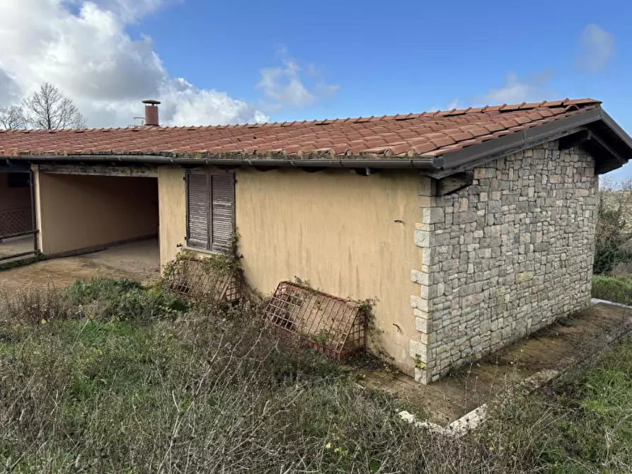 Immagine 3 di Appartamento in vendita  in Località le Valentine a Scansano