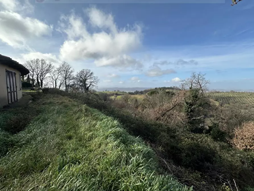 Immagine 4 di Appartamento in vendita  in Località le Valentine a Scansano