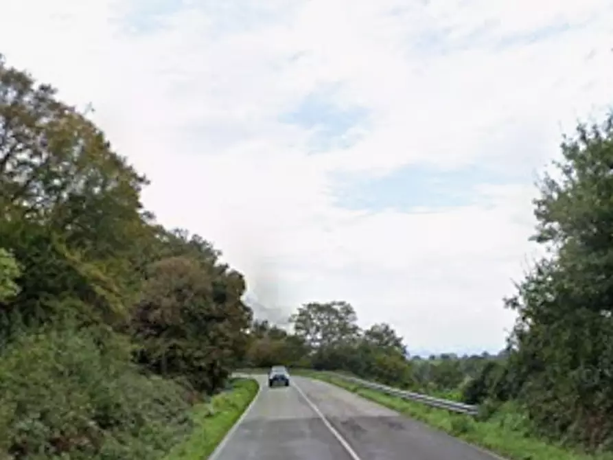 Immagine 7 di Appartamento in vendita  in Località le Valentine a Scansano