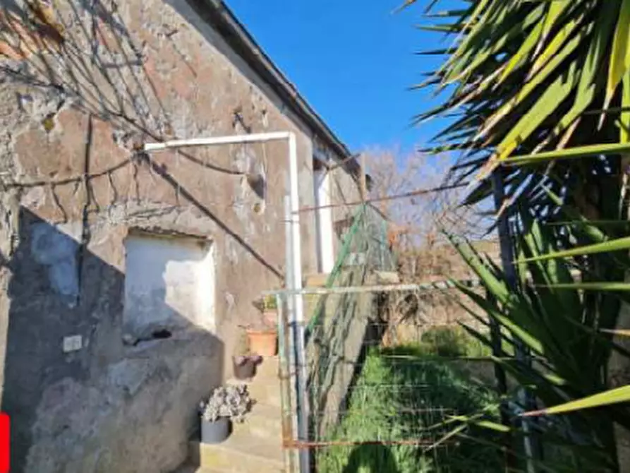 Immagine 3 di Casa indipendente in vendita  in Strada Statale Aurelia a Orbetello