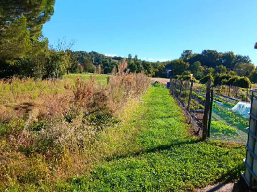Immagine 5 di Villa in vendita  in Via Pietro Zorutti  a Capriva Del Friuli